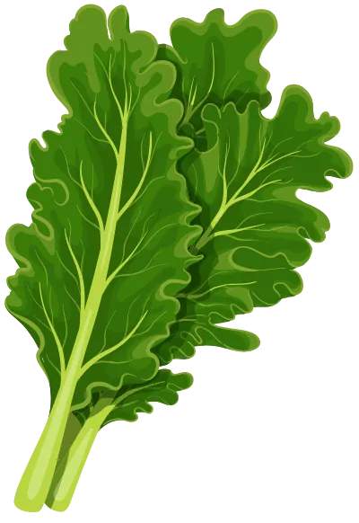 Kale
