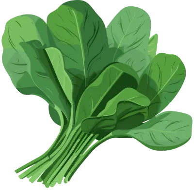 Spinach